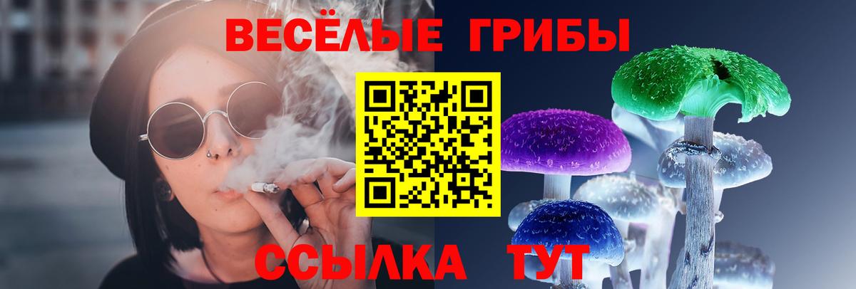 Псилоцибиновые грибы Cubensis  Вход с VPN  Гурьевск  Галлюциногенные грибы прущие грибы 